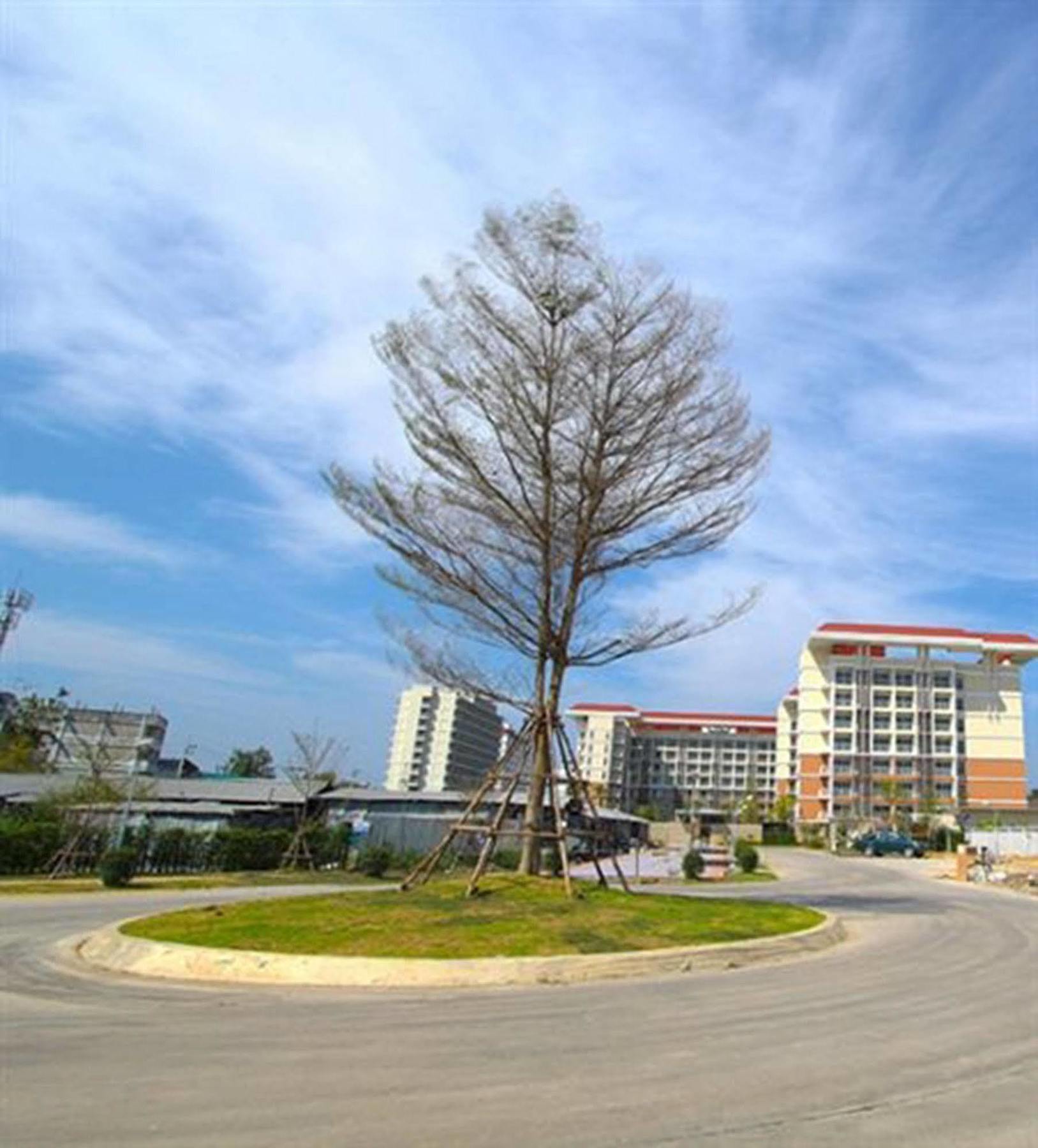 Grow Residences Banguecoque Exterior foto